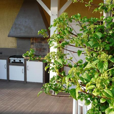 Au Bras D'Argent Bed & Breakfast Berthez ภายนอก รูปภาพ